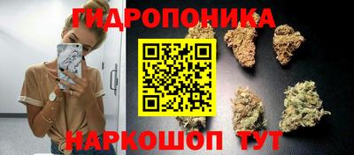 ГАЛЛЮЦИНОГЕННЫЕ ГРИБЫ Нарткала