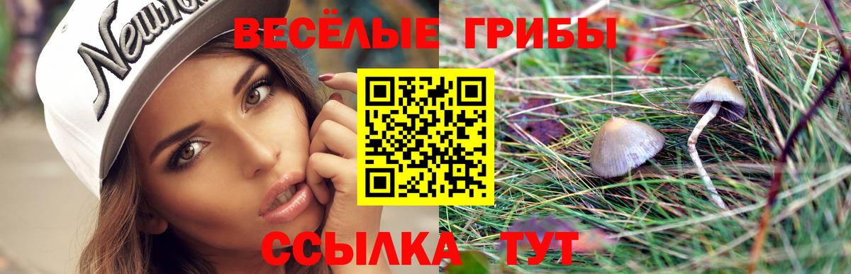 Галлюциногенные грибы мухоморы  Вход с VPN  Черняховск 