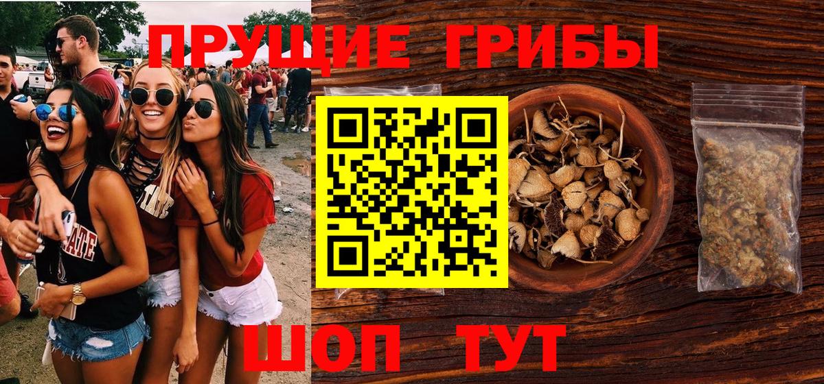 Галлюциногенные грибы Magic Shrooms Черняховск